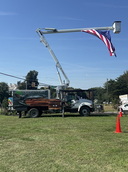 Calvert Tree Service