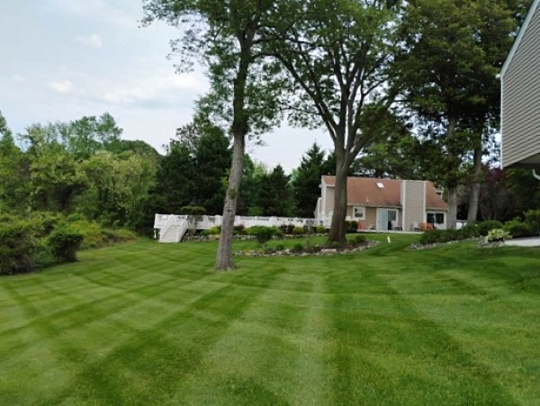 St Marys Lawn Care Mowing