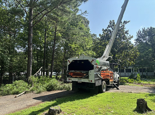 St Marys Tree Service